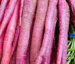 Heirloom Cosmic Purple Carrot Seeds - Daucus carota - B168