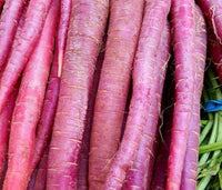 Cosmic Purple Carrot Seeds - Heirloom Open Pollinated - 168C