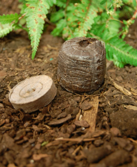 Soil Pellets - 30 mm Jiffy 7 Organic Soil Pellets for Indoors Seed Starting