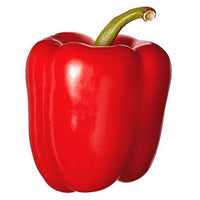 Heirloom Big Red Sweet Bell Pepper Seeds - Capsicum annuum - B352