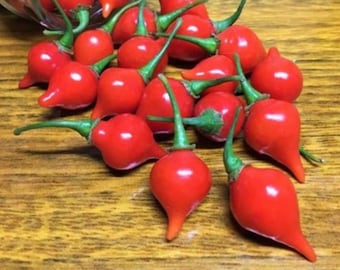 Heirloom Biquinho Red Pepper Seeds - Capsicum chinense var. pimenta - B358
