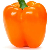 Heirloom Orange Sun Bell Pepper Seeds - B137