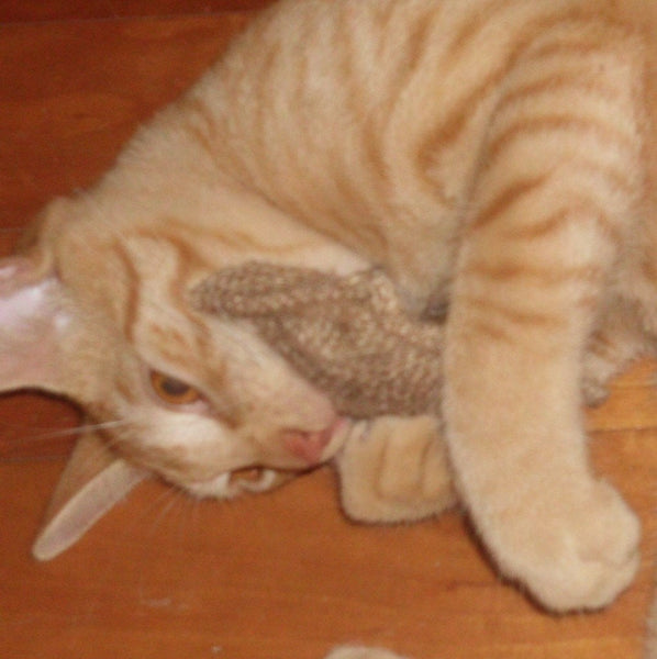Natural Burlap Sack Cat Toy with Catnip - Many sizes