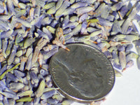 Lavender Flowers (Sample thru 1Lb seeds) Tea Dried Culinary fragrance MO13