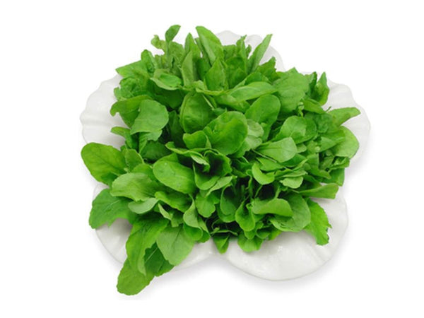 Arugula Salad Greens seeds - 300 seeds (1/2 gram) - Buy 2 orders get 1 Free - B192