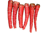 Heirloom Atomic Red Carrot Seeds - Daucus carota - B22