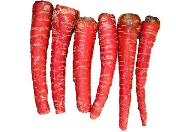 Atomic Red Carrot Seeds - Choose Packet Size - Unique Heirloom - b22