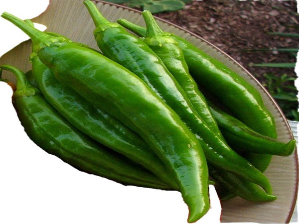 Anaheim Chile Pepper Seeds - Texmex Heirloom -B138