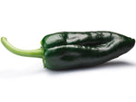 Ancho Poblano Pepper - 60 seeds (1/2 gram) - Buy 2 Get 1 Free - B60