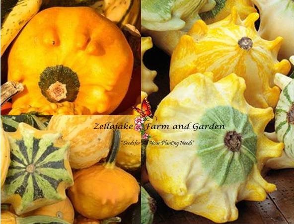 Crown of Thorns Gourd Seeds - Cucurbita pepo - B93