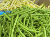 Heirloom Blue Lake Bush Bean Seeds - Phaseolus vulgaris - C3