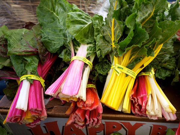 Chard Swiss Rainbow Seeds - Unique Red Pink Yellow Green - b166