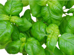 Sweet Basil Herb - 250 seeds, or 1/2 gram -  Buy 2 get 1 order Free - B13