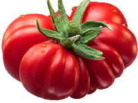 Beefsteak Tomato Seeds - No GMO Classic - B95