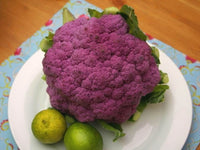Heirloom Purple Sprouting Broccoli Seeds - Brassica oleracea var. italica - B245