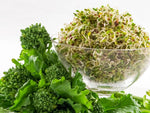 Broccoli Rapini Heirloom Seeds - Raab Greens - B117