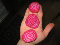 Heirloom Chioggia Beet Seeds - Beta vulgaris - B9