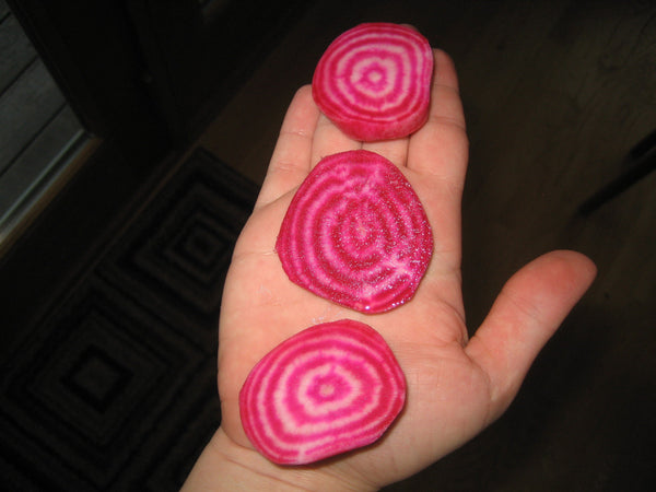 Chioggia Beet Heirloom Seeds - Many Packet Sizes - Grow Unique Rare Red Striped Beets - C9