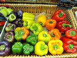 Rainbow Bell Pepper Mix Seeds - Purple Red Yellow Green Colors - bin37