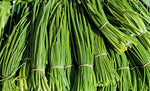 Garlic Chive Heirloom Culinaray Herb Seed - B2