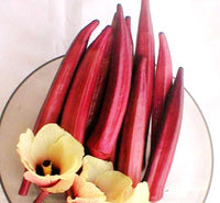 Heirloom Red Burgundy Okra Seeds - Abelmoschus esculentus - B264