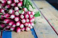 Heirloom French Breakfast Radish Seeds - Raphanus sativus - B78