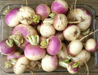 Turnip Purple Top White Globe - 300 seeds, or 1 gram - Buy 2 Get One Free - B99