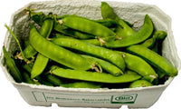 Sugar Snap Pea Heirloom Seeds - Pisum sativum - C2