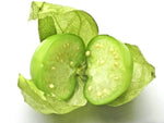 Toma Verde Tomatillo Seeds -  Green Salsa Fruit - B273