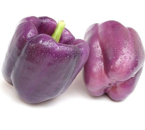 Purple Beauty Bell Pepper - 35 seeds, or 1/4 gram -Buy 2 Get 1 order Free - b28