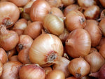 Walla Walla Onion Seeds - Sweet & Mild Heirloom B54