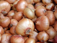 Heirloom Walla Walla Onion Seeds - Allium cepa - B54