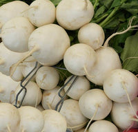 Heirloom Detroit White Beet Seeds - Beta vulgaris - B14