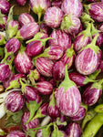 Heirloom Eggplant Rosa Bianca Seeds - Solanum melongena - B132