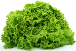 Green Ice Leaf Lettuce Seeds - Heirloom Cool Season Salad bin296