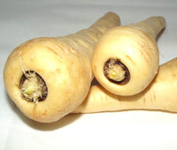 Harris Model Parsnip Seeds - Pastinaca sativa - B303