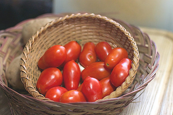 Roma Italian Tomato Seeds - Solanum lycopersicum - B226