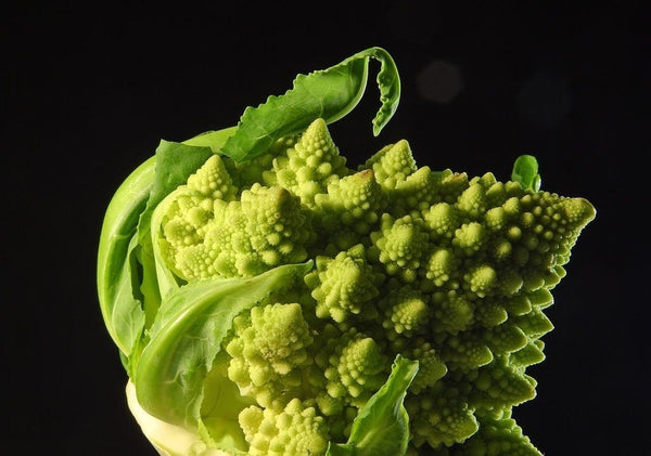 Heirloom Romanesco Broccoli Seeds - Brassica oleracea - B124