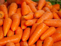 Tendersweet Carrot Seeds - Many Sizes - Heirloom - B120