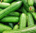 Cucumber Beit Alpha Seeds - Persian Variety - B211