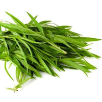 Tarragon Seeds - Artemisia dracunculus - B91