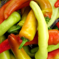 Heirloom Hungarian Hot Wax Pepper Seeds - Capsicum annuum - B141