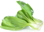 White Stem Chinese Pak Choi Cabbage Seeds - Many Packet Sizes - Microgreens 76C