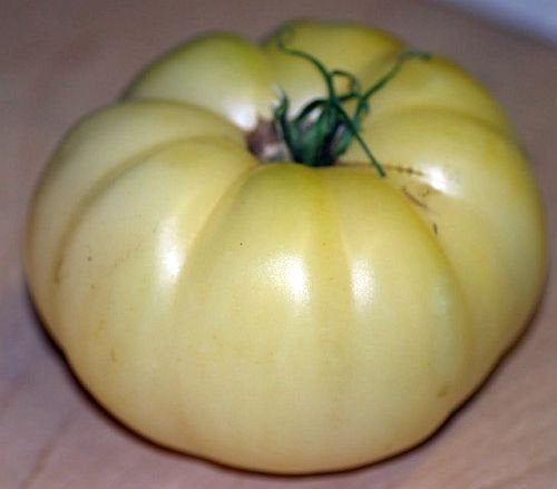 Heirloom White Wonder Beefsteak Tomato Seeds - Lycopersicon lycopersicum - B221