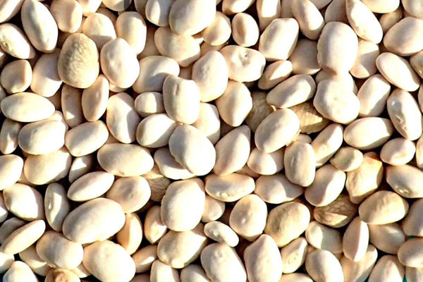 White Dixie Butterpea Seeds - 336H