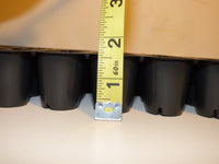 98 Cells 1 1/2 inch diameter Plug Seed Starter Trays