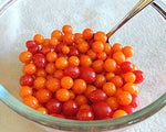 World's Smallest Tomato Seeds - Tiny Currant - B312